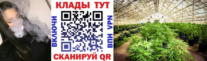 Наркотические вещества Приозерск Амфетамин блэк спрут как зайти Меф мяу мяу ГАШИШ A PVP Кокаин