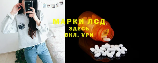 ГАЛЛЮЦИНОГЕННЫЕ ГРИБЫ Алзамай
