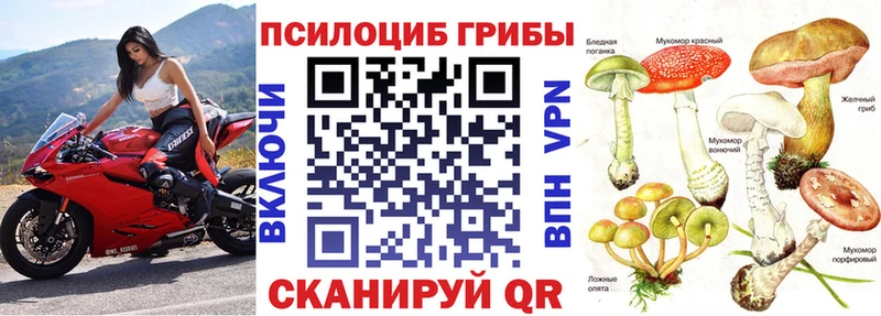 Галлюциногенные грибы мицелий  Приозерск 
